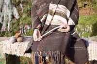 Image 2 of Hedgerow Spindle tutorial video 