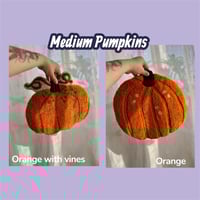 Image 3 of Pumpkin Rugs