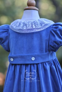 Image 5 of Berkley Blue Velveteen Collection 