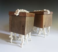 Image 2 of Tree Tops Vll - Cara O'Brien