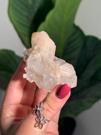 Image 2 of BOWTIE STILBITE X DIAMOND APOPHYLITE -INDIA- B