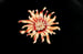 Image of Brown Rhinestone Flower Brooch 