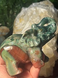 Ocean jasper 2 elephant 