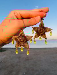 Image 4 of 🌟🖤Stapelia Starfish Flower🖤🌟 Earrings 