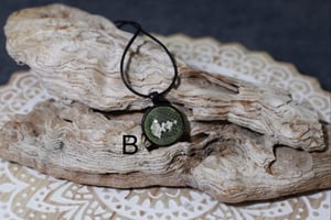 Image of Emerald Tree Boa Collection