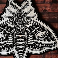 Image 2 of Eyed Sphinx Moth