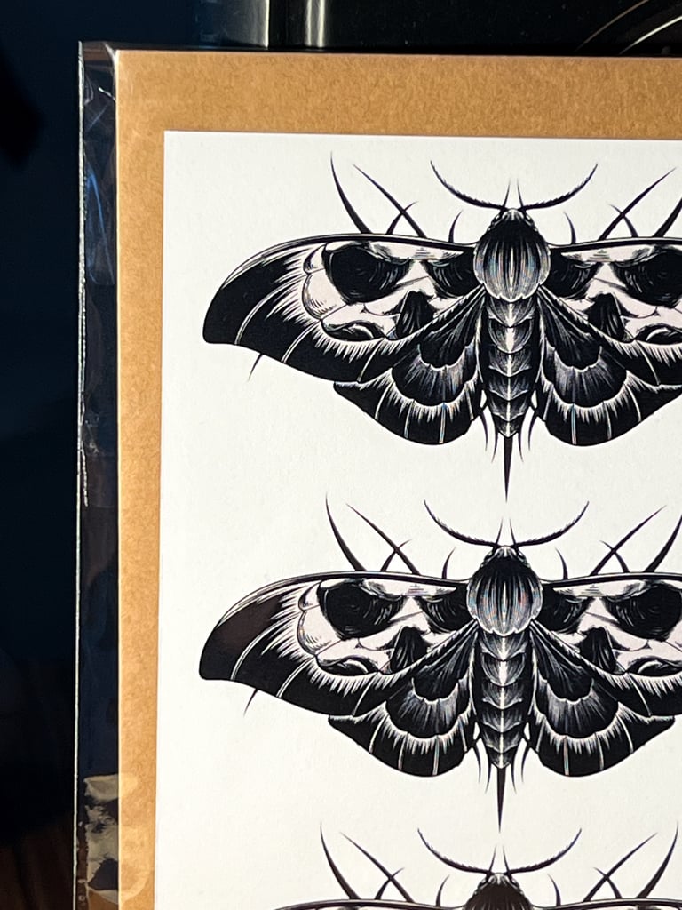 CARTE POSTALE « DEATH MOTH » 💀 Image 2
