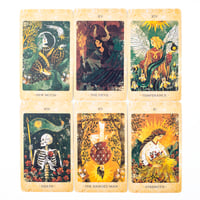Image 5 of The Solar Kingdom Tarot Deck 78 Card Oracle Set for Cosmic Insight and Divination English Versions E