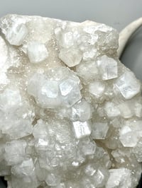 Image 5 of Apophyllite Cluster Display Specimen | India #2792