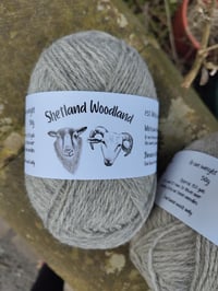 Image 2 of Whitefaced Woodland & Shetland blend Aran - 50g ball with free pattern