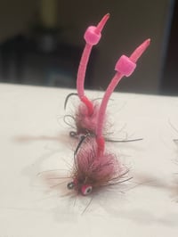 Image 2 of Standing Hampton