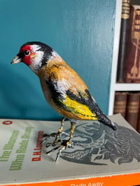 Image 2 of Gordon the Goldfinch