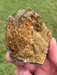 Image 9 of Amethyst Specimen #1214