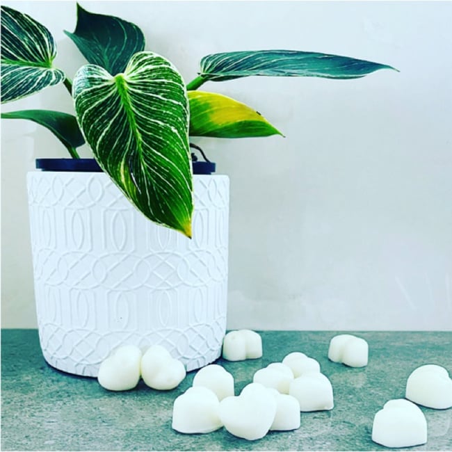 Soy Wax Melts - HEARTS 15pk