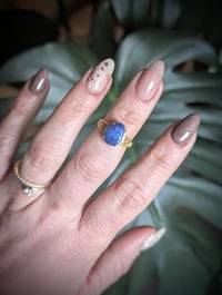 Image 3 of The Andrea