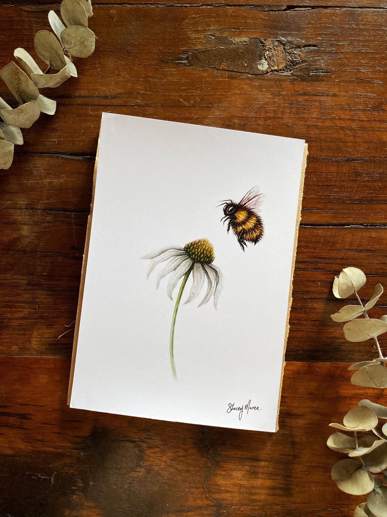 Image of Wild Bee - Fine Art Print