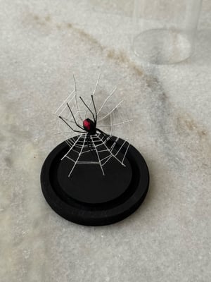 Image of Redback spider and web faux entomology 