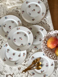 Image 1 of Lot de 10 petites assiettes fleuries