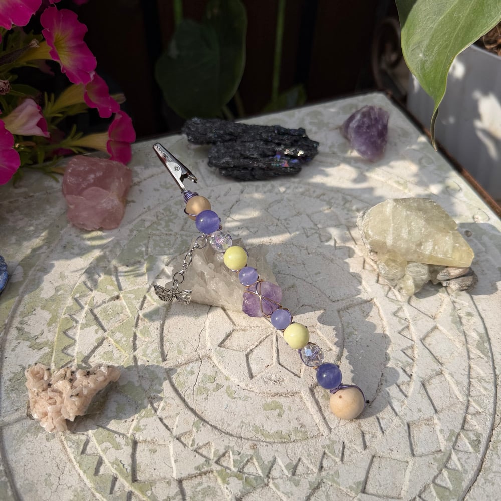 Image of morning monarch roach clip