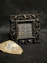 Image 2 of Ornate Square Black gothic preserved web - 1