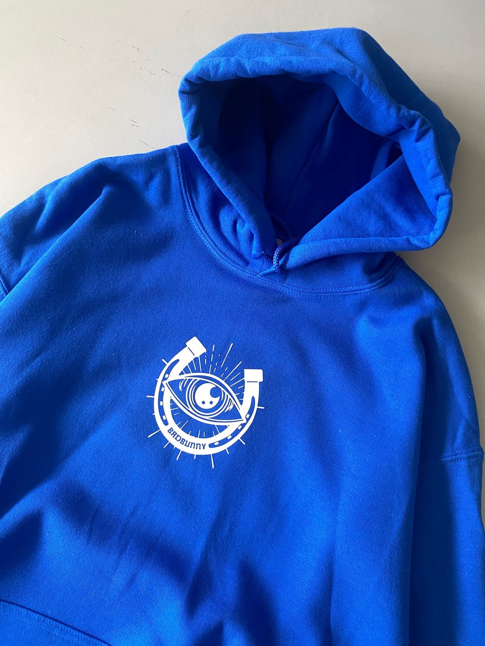 Image of MOST WANTED TOUR HOODIE ROYAL & BROWN 