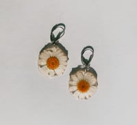 Image 1 of White Daisy Dangles 