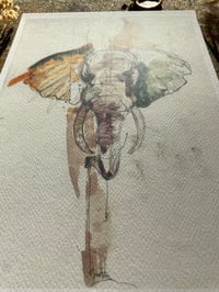 Image 3 of Print Elephant 