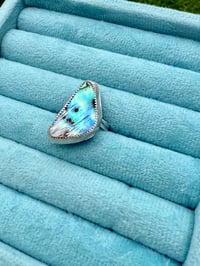 Image 2 of Abalone ring 3 - sample