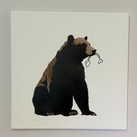 Bear bones 