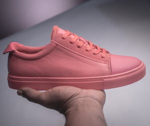 Image of Pank Plebeians