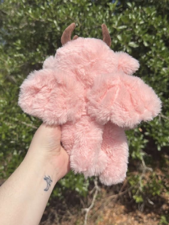 Image of Cerai Sakura Dragon Baby Noodle