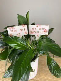 Image 1 of Plant Stakes