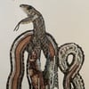 Snake Anatomy (a4)