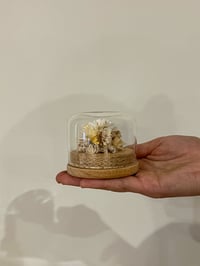 Image 2 of Mini Glass Flower Dome - White & Gold