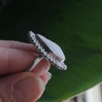Image 3 of Cowrie Shell Ring 