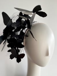 Image 1 of Black butterflies 