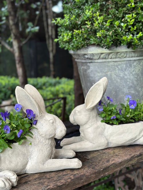 Image of Rabbit Planter