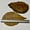 Image of Indian Almond Leaves