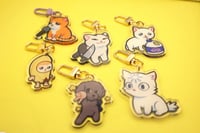 Image 1 of MEME ANIMALS ACRYLIC CHARM VOLUME 3