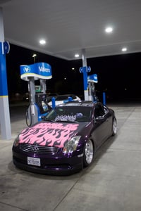 Image 3 of MEMBERS ONLY