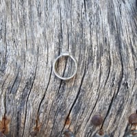 Image 3 of Classic Sparkle, US 6