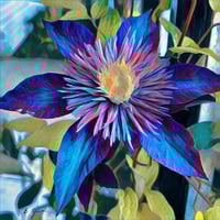 Image 1 of Flower Pop