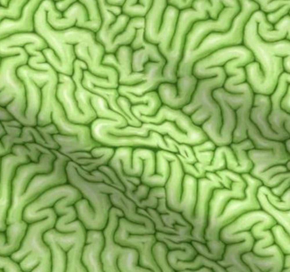 Image of Zombie brains cap fabric 