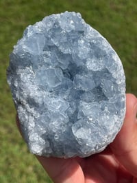 Image 10 of Celestite Cluster Specimen #1790