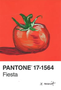 Image 1 of Tomato Pantone