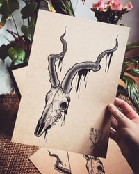 Image 1 of Skull Print