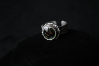 Image 4 of Dead Good harlequin ladybird ring