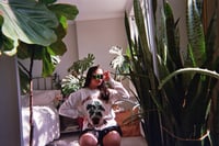 Image 5 of Botanical Brown Plant Shop 