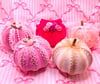 Mini Pink Pumpkins