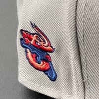 Image 2 of DTWD & Jumbo Shrimp - New Era Snapback - Gray